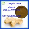 High Quality Ginger Extract