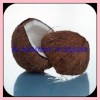 COLD DRIED COCONUT