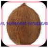 ORGANIC COCONUT