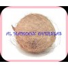 DESICCATED COCONUT