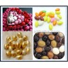 QKII Chocolate Bean Production Line