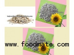 sunflower kernels for bird food,2012NEW CROP