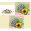 sunflower kernels for bird food,2012NEW CROP