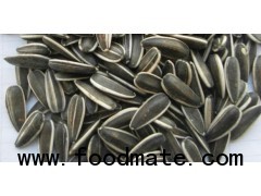 sunflower seeds 5009