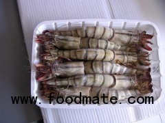 Frozen Shrimps Products