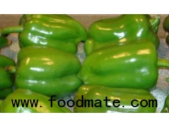 Green Capsicum