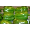 Green Capsicum