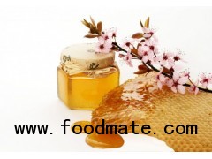 Premium Uniquely flavoured pine tree honey