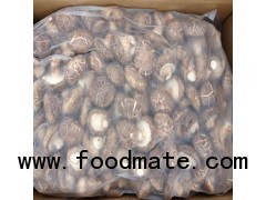 shiitake mushroom