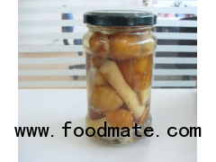 canned stropia(canned mushroom-canned vegetable)