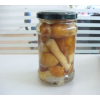 canned stropia(canned mushroom-canned vegetable)