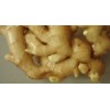 2012 fresh China ginger
