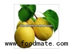 Xinjiang Korla Fragrant Pear