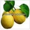 Xinjiang Korla Fragrant Pear