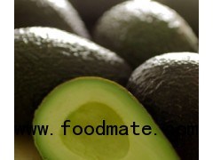 Fresh Avocadoes - Hass | Fuerte