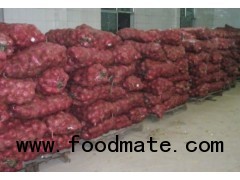chinese fresh red onion for sale