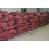 chinese fresh red onion for sale