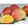 Fresh Apple Mangoes