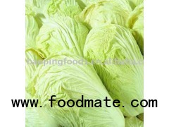 chinese long cabbage