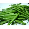 Fresh French Beans