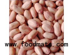 Dried Ground Nuts ( Peanuts)