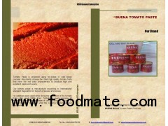 Tomato Paste Double Concentration