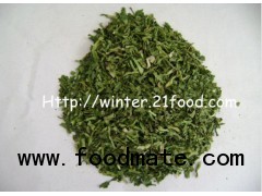 dehydrated coriander leaves