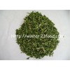 dehydrated coriander leaves