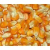 Yellow Maize Meal