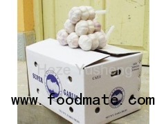 small mesh bag garlic