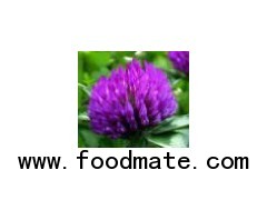 Red clover Extract