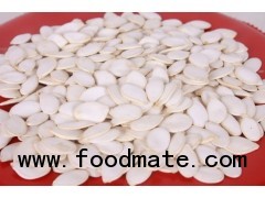 new crop chinese snow white pumpkin seeds 13cm