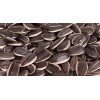 new crop Inner Mongolia Sunflower seeds 5009