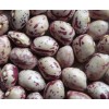 2012 CROP LIGHT SPECKLED KIDNEY BEANS