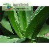 Aloe Vera Extract