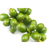 Green Coffee Bean Extract