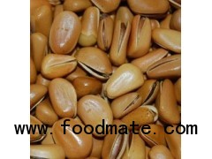 Chinese pine nuts