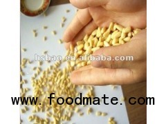 Pine Nut Kernel for cooking