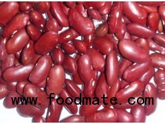 2012 Crop Red Kidney Beans