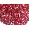 2012 Crop Red Kidney Beans