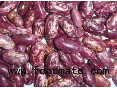 Chinese purple speckled kidney bean