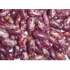 Chinese purple speckled kidney bean
