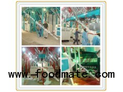 25ton maize grinding machine,maize grinding equipment,maize grinding plant
