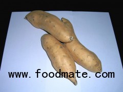Cilembu Sweet Potato