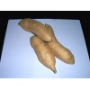 Cilembu Sweet Potato