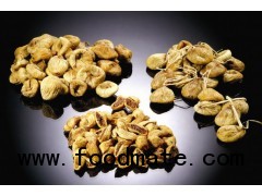 Dried Figs