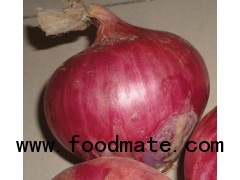 fresh red onions for sale