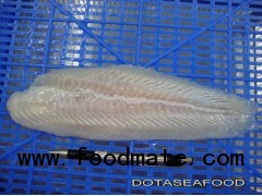pangasius