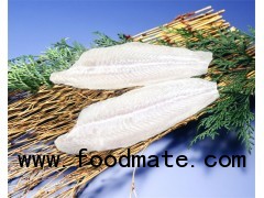 Frozen Pangasius Hypophthalmus fillet - IQF (White meat)