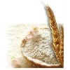 wheat flour for bread